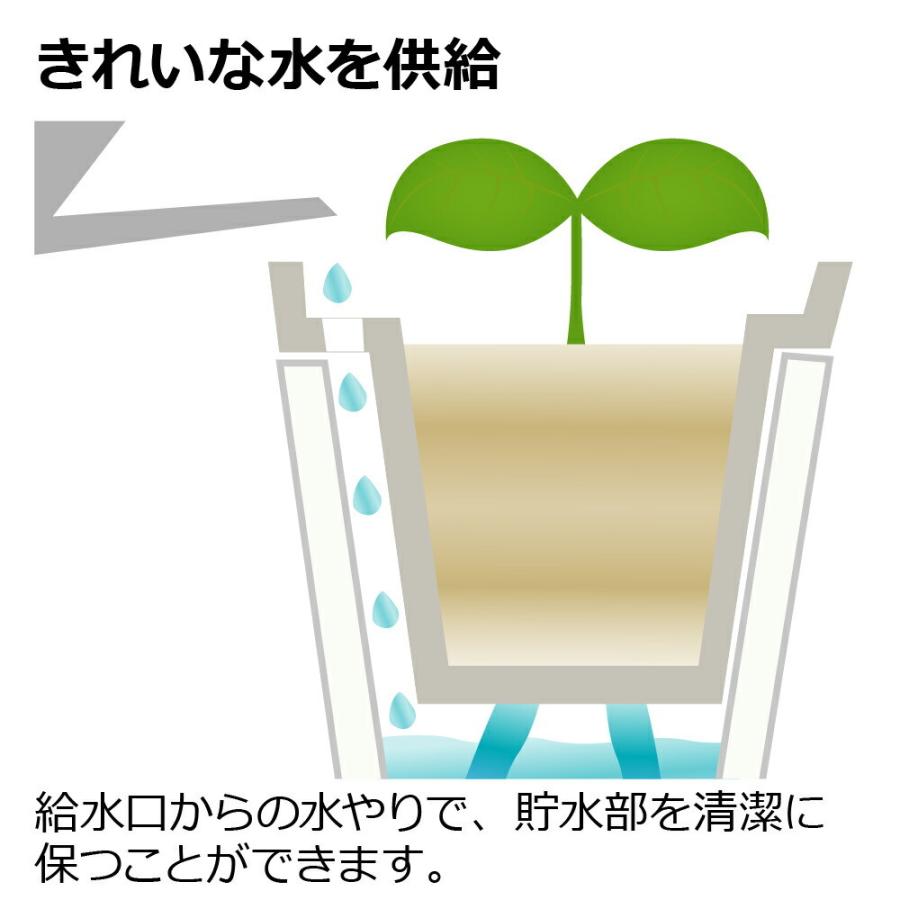 ミエルノPlus ポット 13型N 園芸 ガーデン 植木 鉢 底面給水 プランター おしゃれ 室内 スリット プラスチック リッチェル | リッチェル | 10