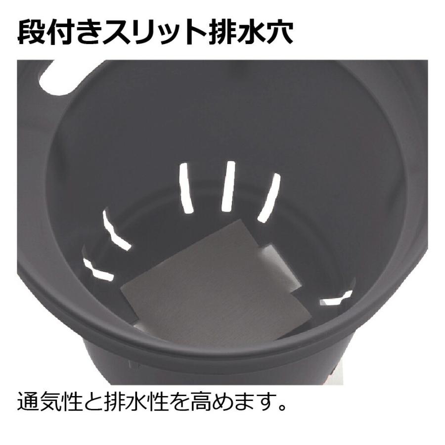 ミエルノPlus ポット 15型N 園芸 ガーデン 植木 鉢 底面給水 プランター おしゃれ 室内 スリット ロング プラスチック リッチェル | リッチェル | 11
