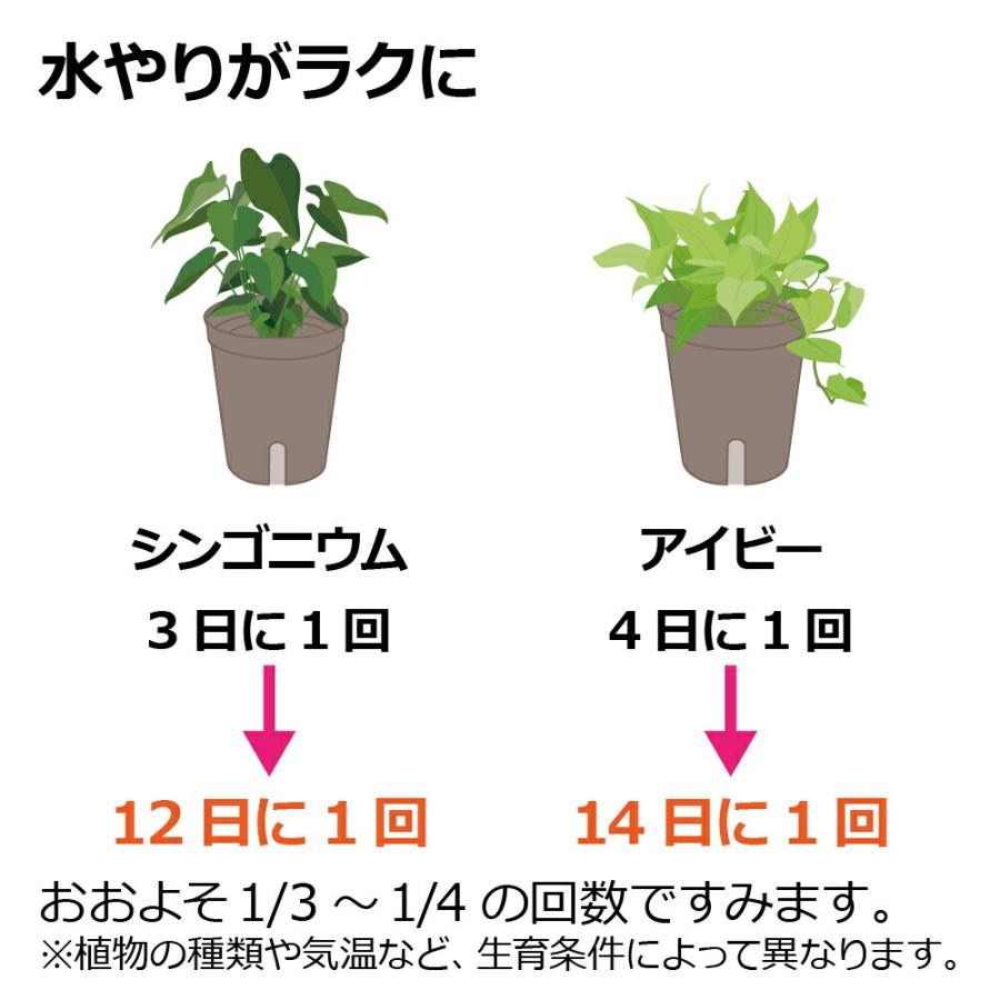 ミエルノPlus ポット 17型N 園芸 ガーデン 植木 鉢 底面給水 プランター おしゃれ 室内 スリット プラスチック リッチェル | リッチェル | 06