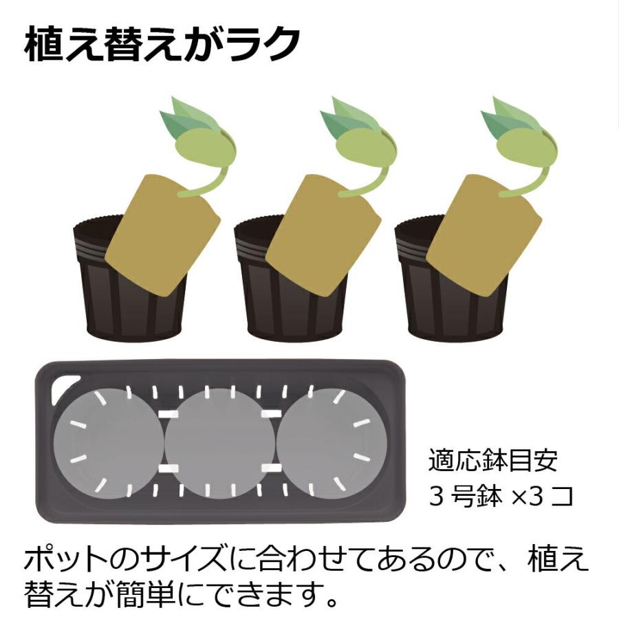 ミエルノPlus プランター 27型N 園芸 ガーデン 植木 鉢 底面給水 プランター おしゃれ 室内 スリット プラスチック リッチェル | リッチェル | 12