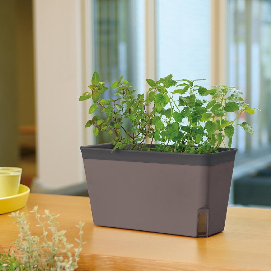 ミエルノPlus プランター 27型N 園芸 ガーデン 植木 鉢 底面給水 プランター おしゃれ 室内 スリット プラスチック リッチェル | リッチェル | 05