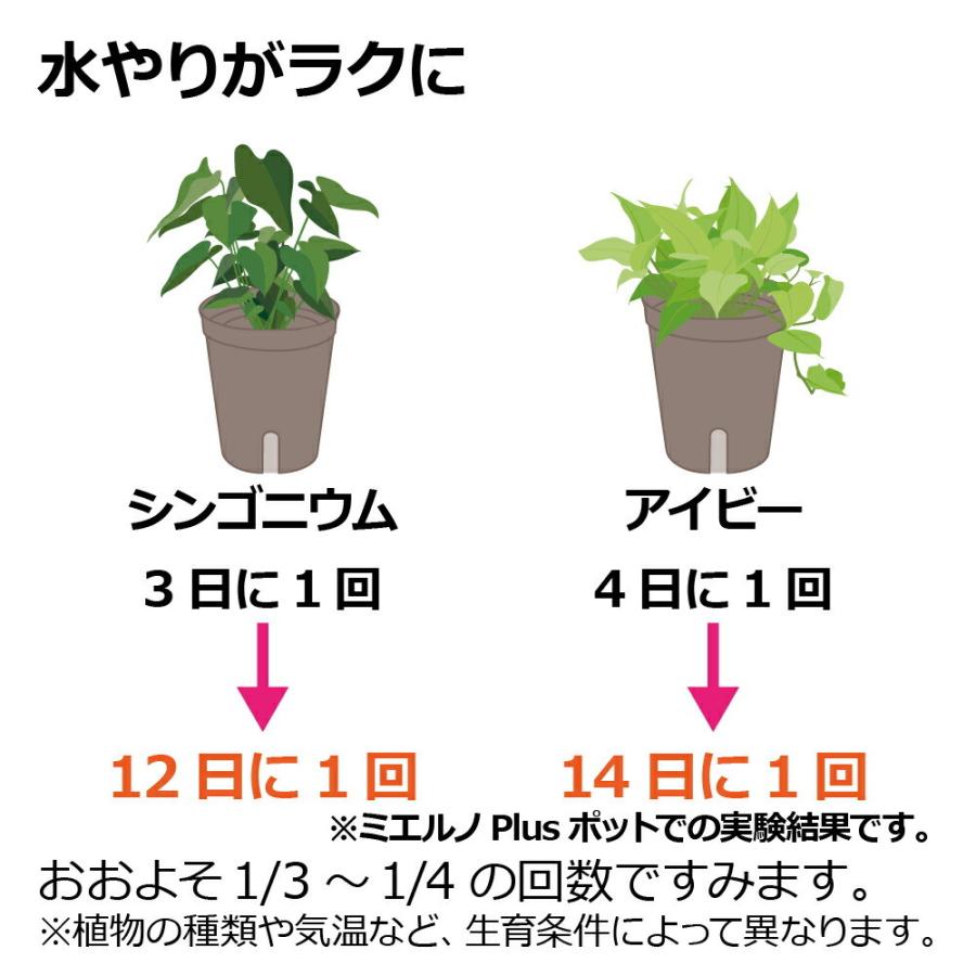 ミエルノPlus プランター 27型N 園芸 ガーデン 植木 鉢 底面給水 プランター おしゃれ 室内 スリット プラスチック リッチェル | リッチェル | 06