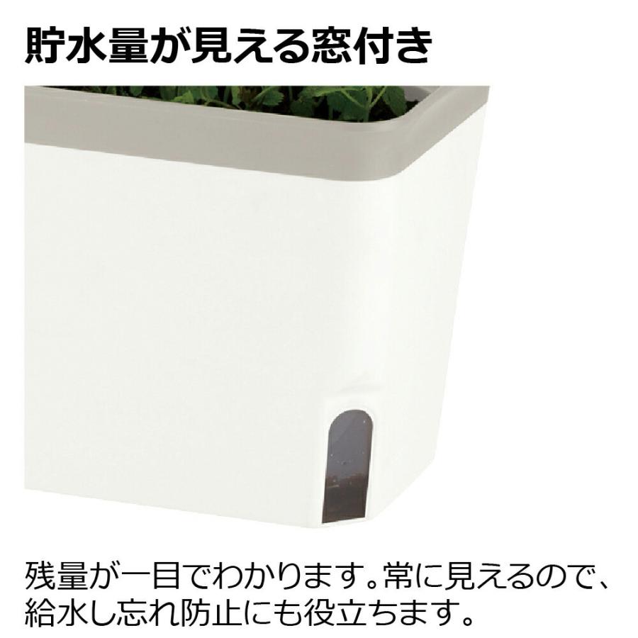 ミエルノPlus プランター 27型N 園芸 ガーデン 植木 鉢 底面給水 プランター おしゃれ 室内 スリット プラスチック リッチェル | リッチェル | 08