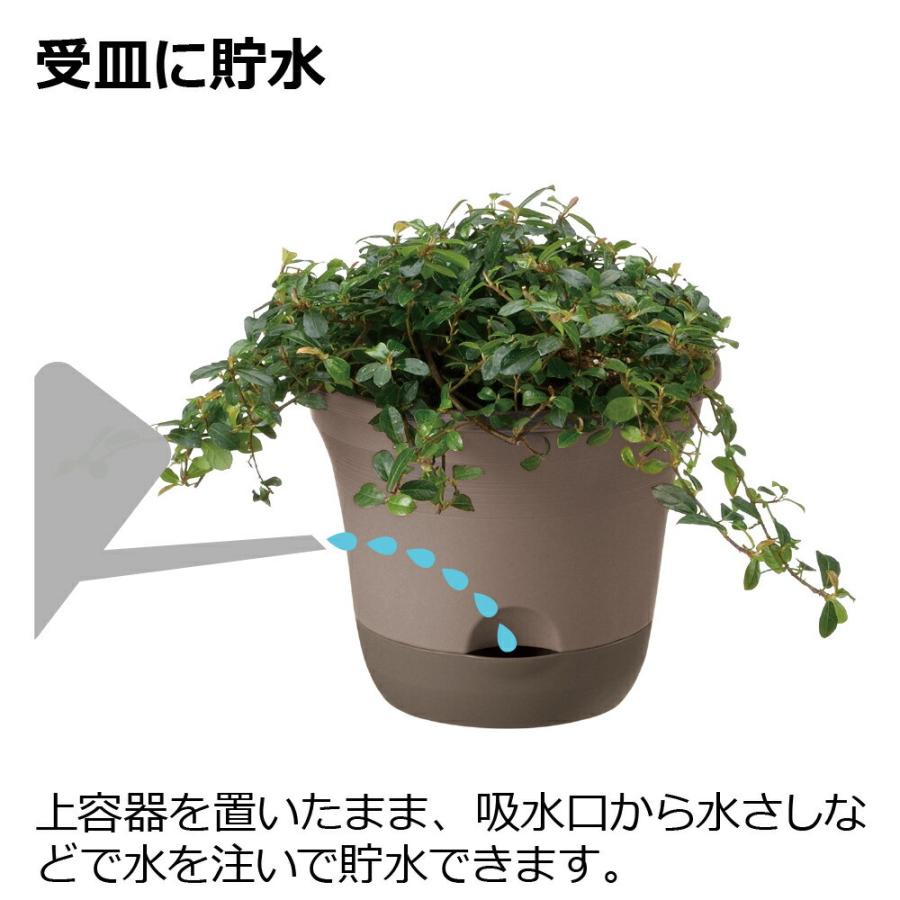 ウルオ ポット 20型N 園芸 ガーデン ガーデニング 植木 鉢 底面給水 プランター おしゃれ プラスチック リッチェル  公式ショップ | リッチェル | 06
