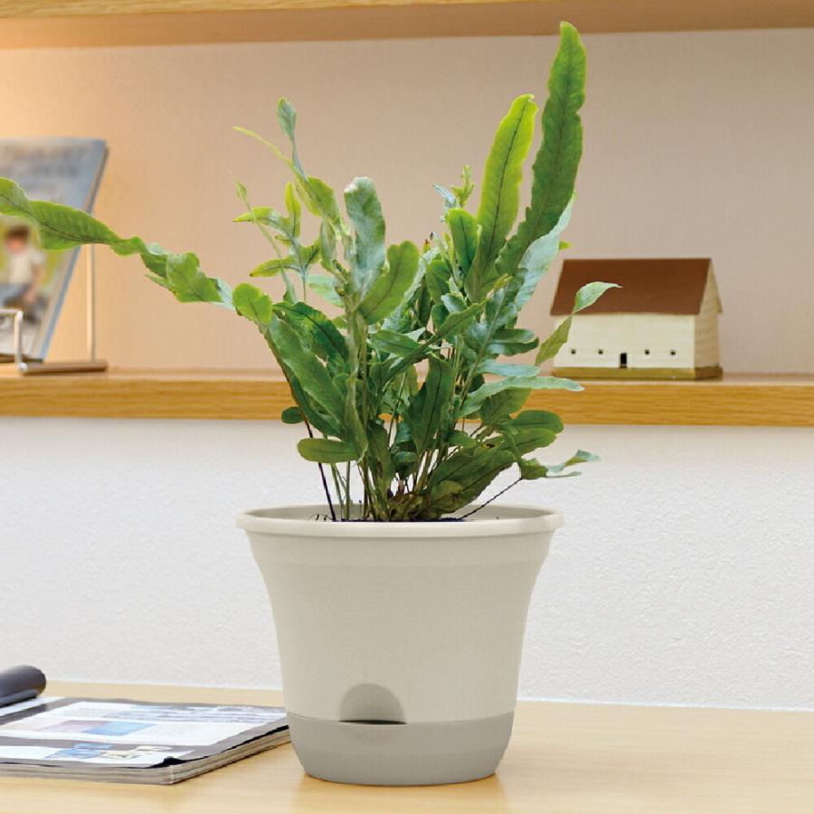 ウルオ ポット 25型N 園芸 ガーデン ガーデニング 植木 鉢 底面給水 プランター おしゃれ  プラスチック リッチェル  公式ショップ｜richell｜06