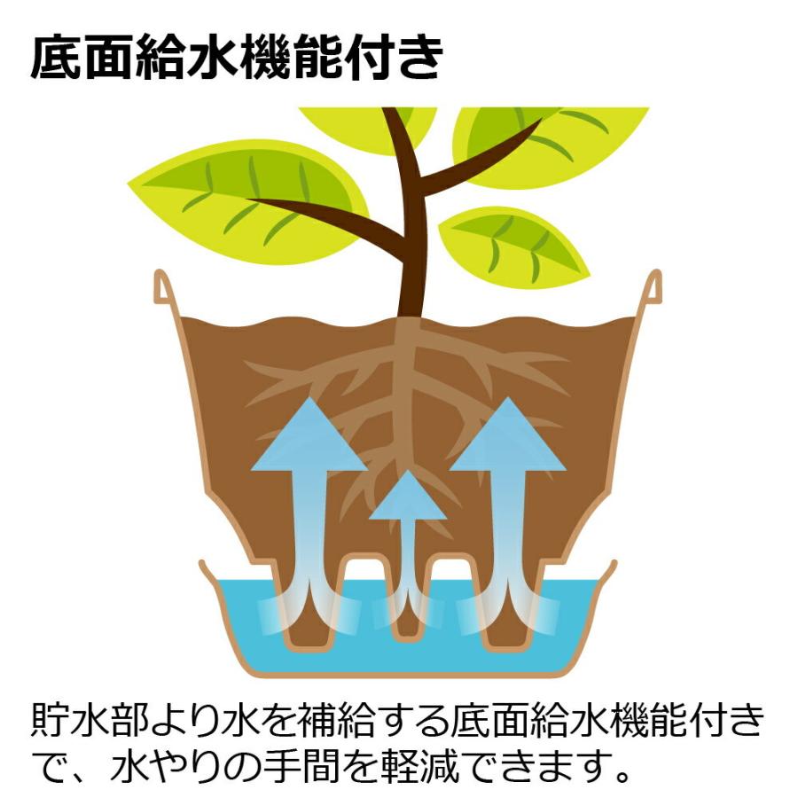ウルオ ポット 25型N 園芸 ガーデン ガーデニング 植木 鉢 底面給水 プランター おしゃれ  プラスチック リッチェル  公式ショップ | リッチェル | 07