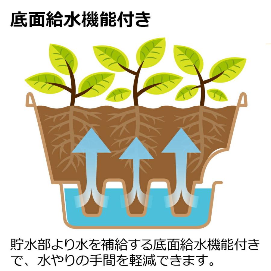 ウルオ プランター 40型N 園芸 ガーデン ガーデニング 植木 鉢 底面給水 プランター おしゃれ 長方形 リッチェル  公式ショップ | リッチェル | 07