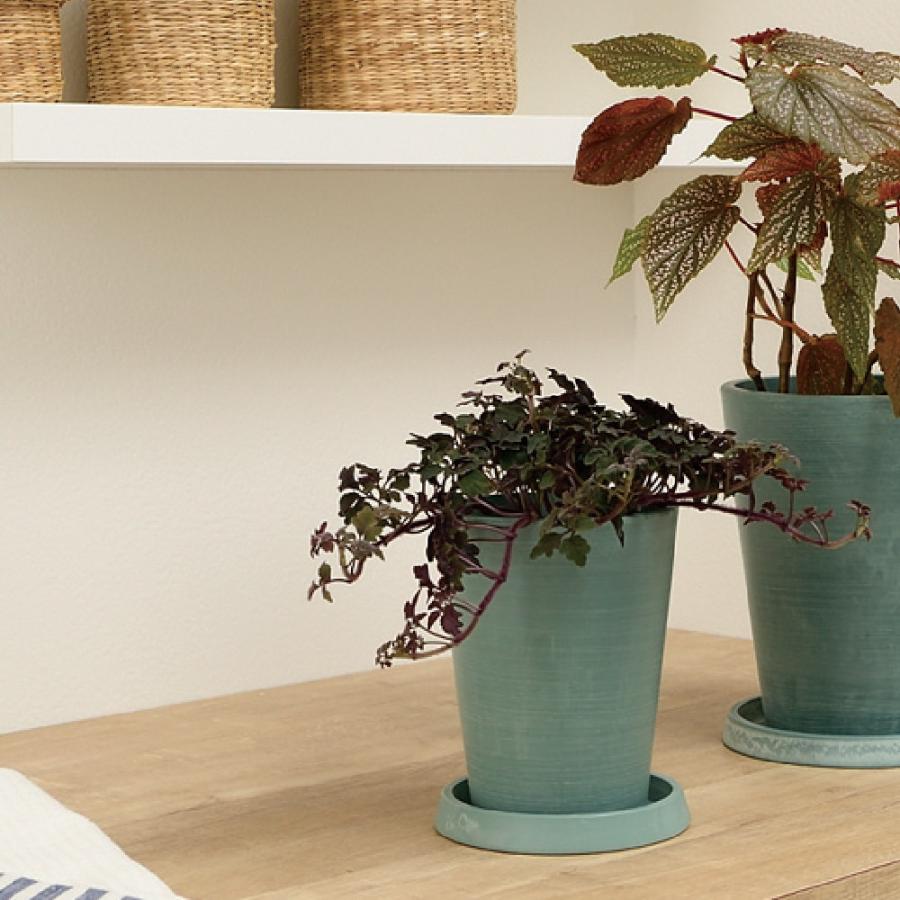 ボタニー トールポット 12型 園芸 ガーデン ガーデニング 植木 鉢 おしゃれ プラスチック リッチェル Richell 公式ショップ | リッチェル | 09