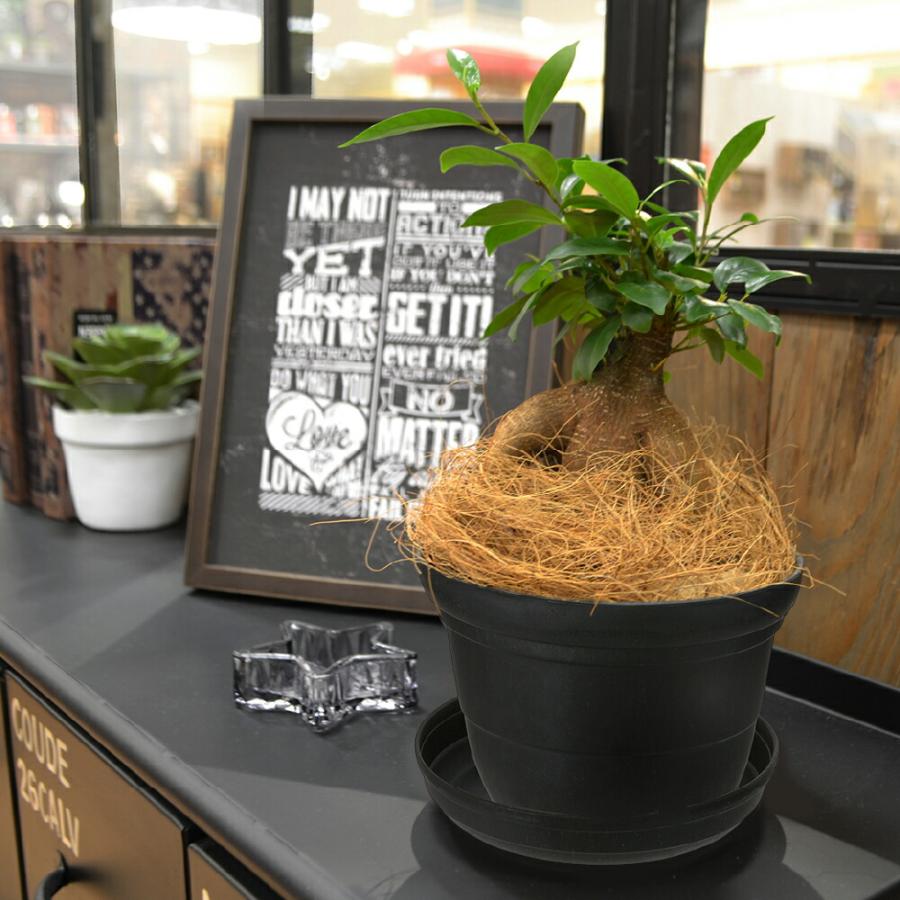 シャンファー ポット 4号 園芸 ガーデン ガーデニング 植木 鉢 おしゃれ 室内  プラスチック リッチェル Richell 公式ショップ | リッチェル | 05