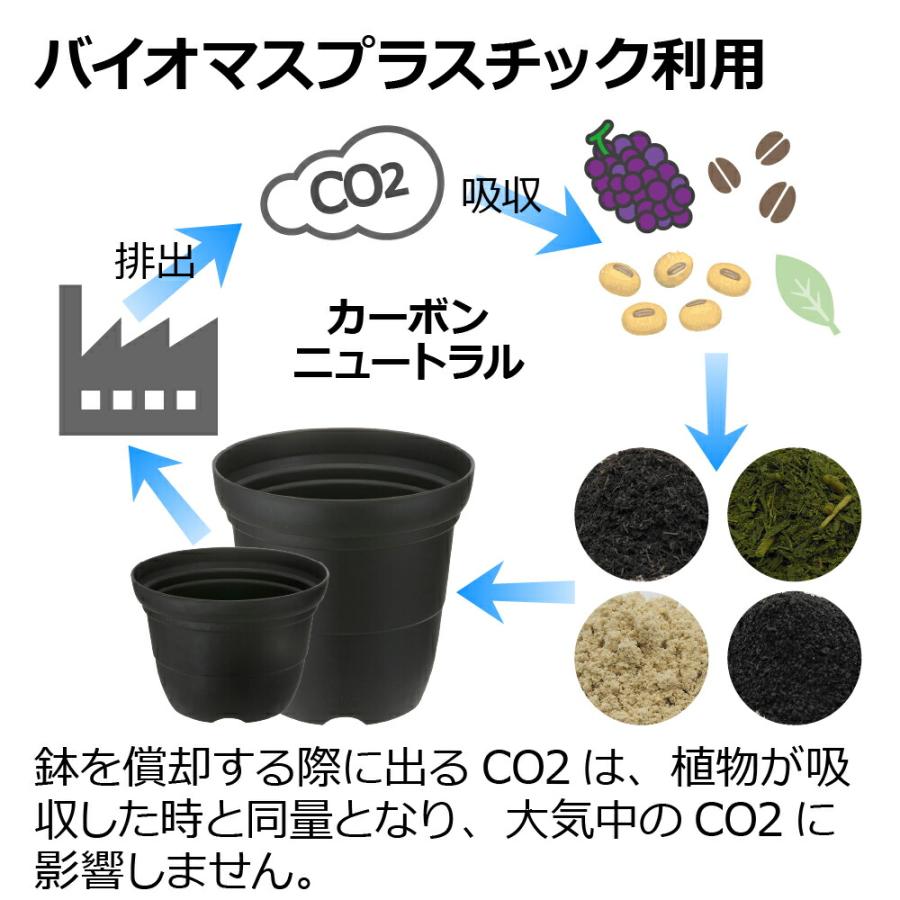 シャンファー ハイポット 5号 園芸 ガーデン 植木 鉢 深鉢 プランター おしゃれ プラスチック リッチェル Richell 公式ショップ | リッチェル | 07