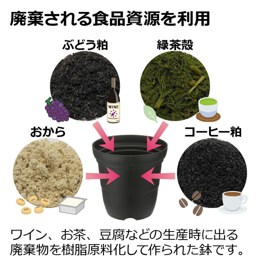シャンファー プレート 4号 園芸 ガーデン 植木 鉢 受け 受 皿 おしゃれ 室内  プラスチック リッチェル Richell 公式ショップ | リッチェル | 06