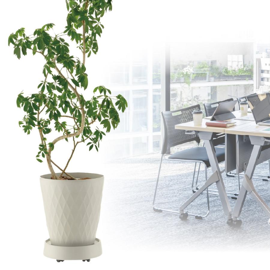 ラピス キャスタープレート S 園芸 ガーデン ガーデニング 植木 鉢 受け 受 皿 おしゃれ 大型 室内 プラスチック リッチェル  公式 | リッチェル | 04