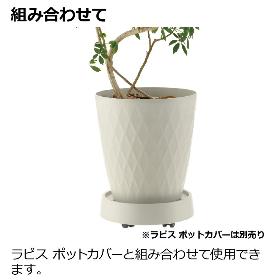 ラピス キャスタープレート S 園芸 ガーデン ガーデニング 植木 鉢 受け 受 皿 おしゃれ 大型 室内 プラスチック リッチェル  公式 | リッチェル | 06
