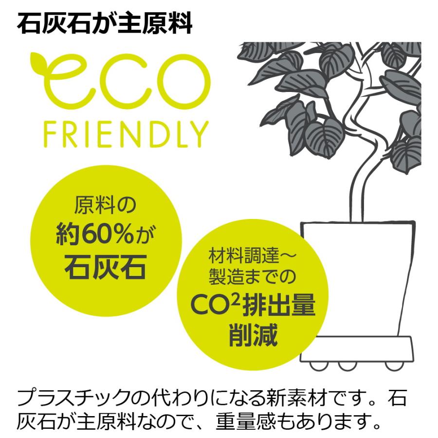 ラピス キャスタープレート M 園芸 ガーデン ガーデニング 植木 鉢 受け 受 皿 おしゃれ 大型 室内 プラスチック リッチェル  公式 | リッチェル | 05
