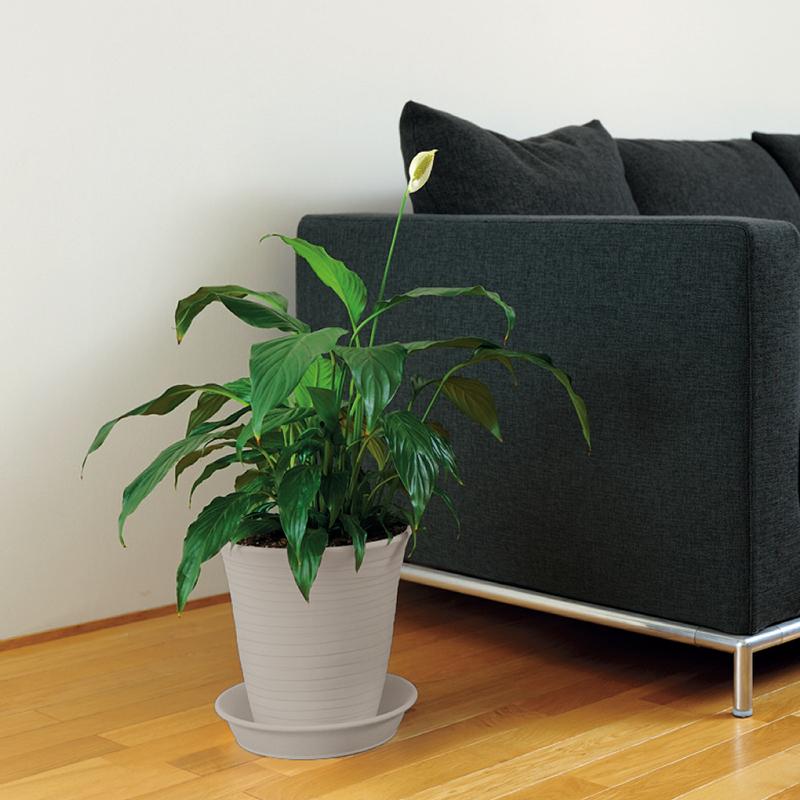 エコル ハイポット 5号 園芸 ガーデン ガーデニング 植木 鉢 深 プランター おしゃれ 室内 プラスチック リッチェル  公式ショップ | リッチェル | 03