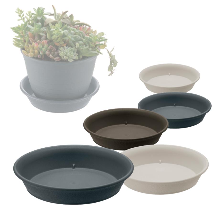 エコル プレート 6号 園芸 ガーデン ガーデニング 植木 鉢 受け 受 皿 おしゃれ 室内 プラスチック リッチェル  公式ショップ | リッチェル | 03