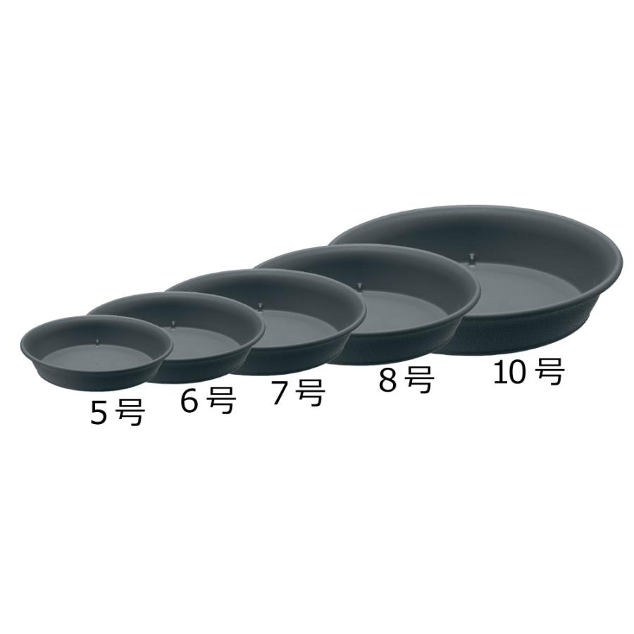 エコル プレート 6号 園芸 ガーデン ガーデニング 植木 鉢 受け 受 皿 おしゃれ 室内 プラスチック リッチェル  公式ショップ | リッチェル | 04