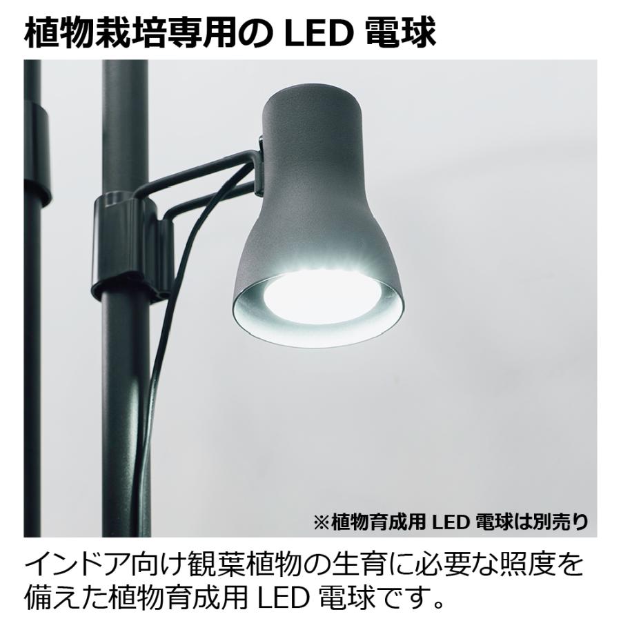 植物育成ライト ボタニー ハンギングポール用ライト 観葉 光合成 植物 育成 おしゃれ 栽培 用 リッチェル | リッチェル | 12