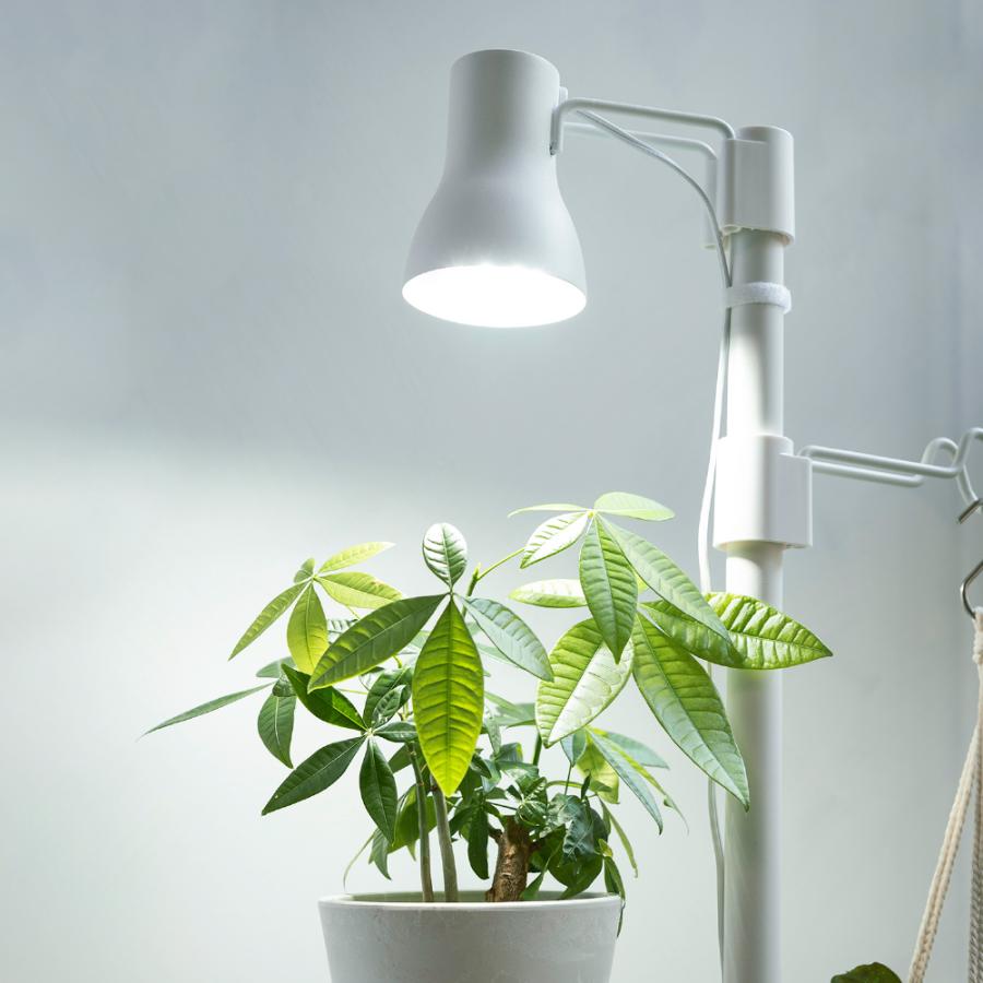 植物育成ライト ボタニー ハンギングポール用ライト 観葉 光合成 植物 育成 おしゃれ 栽培 用 リッチェル | リッチェル | 04