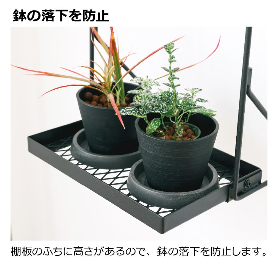 ボタニー ハンギングポール用ブランコボード 園芸 ガーデン ガーデニング 観葉植物 おしゃれ インテリア 屋内 室内 インドアグリーン 追加部材 リッチェル 公式 | リッチェル | 04