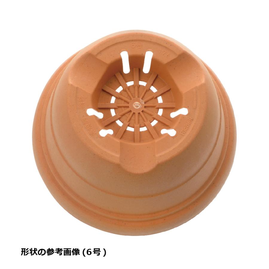 ひよっこ ポット 10号 園芸 ガーデン ガーデニング 植木 鉢 おしゃれ 室内 プラスチック 日本製 リッチェル Richell 公式ショップ | リッチェル | 06