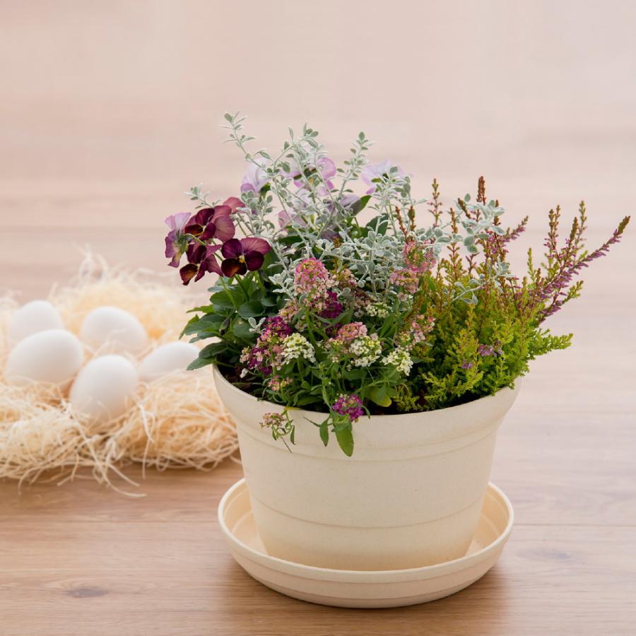 ひよっこ ポット 10号 園芸 ガーデン ガーデニング 植木 鉢 おしゃれ 室内 プラスチック 日本製 リッチェル Richell 公式ショップ | リッチェル | 07