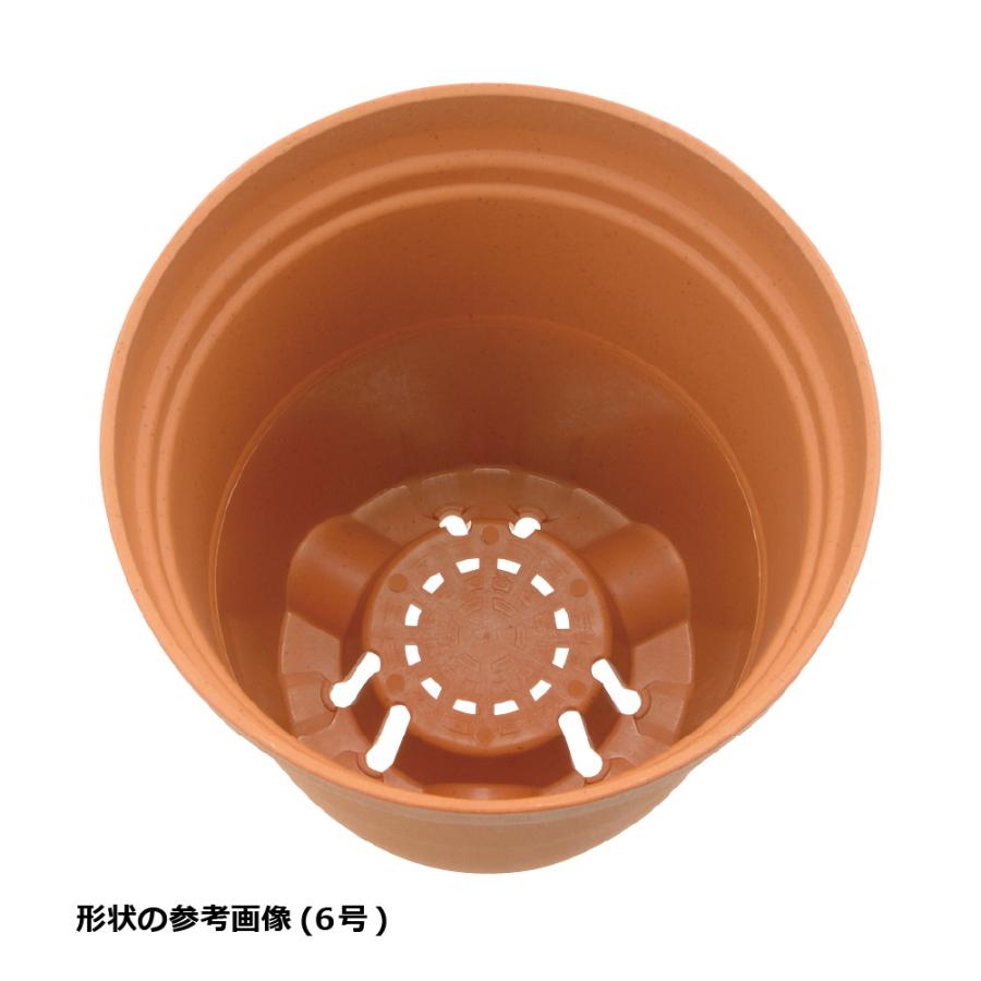 【配送区分K1】ひよっこ ハイポット 6号 園芸 ガーデン ガーデニング 植木 鉢 深鉢 プランター おしゃれ 室内 プラスチック リッチェル  公式 | リッチェル | 05