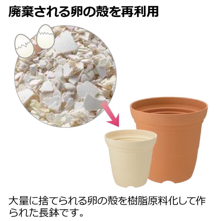 【配送区分K1】ひよっこ ハイポット 6号 園芸 ガーデン ガーデニング 植木 鉢 深鉢 プランター おしゃれ 室内 プラスチック リッチェル  公式 | リッチェル | 08