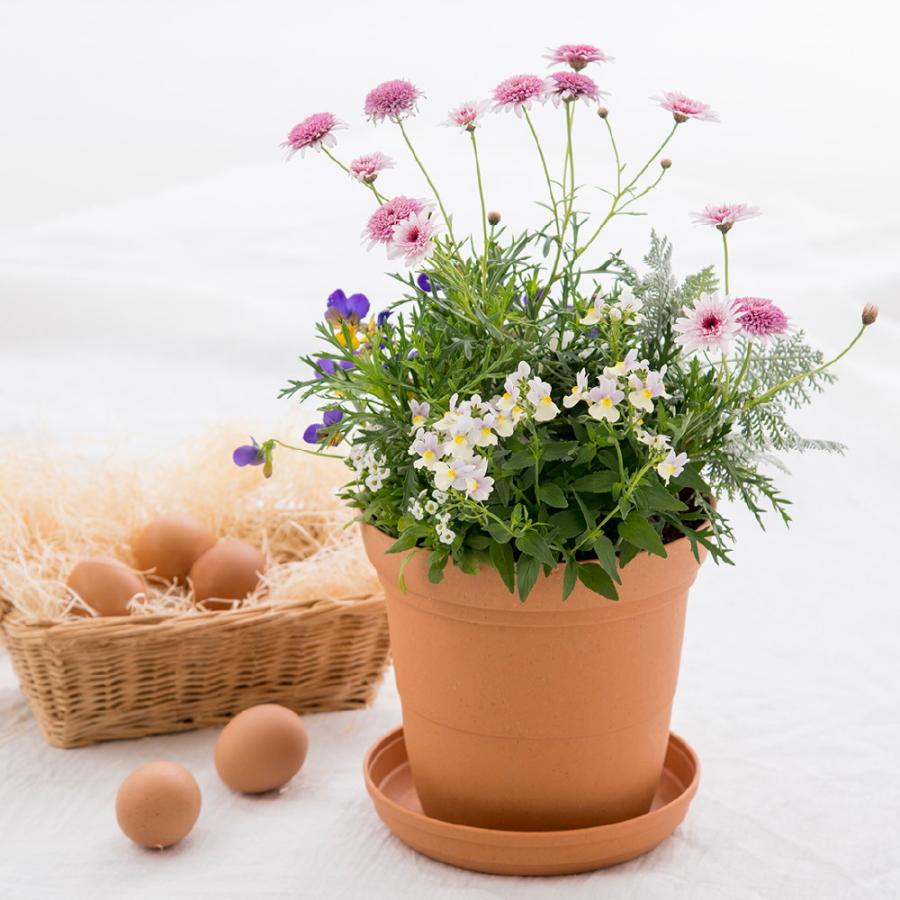 リッチェル ひよっこ ハイポット 10号 園芸 ガーデン ガーデニング