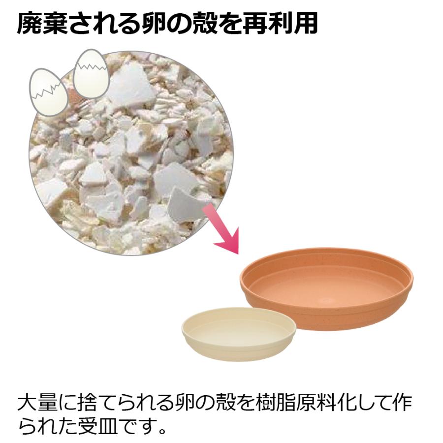 ひよっこ プレート 8号 園芸 ガーデン ガーデニング 植木 鉢 受け 受 皿 おしゃれ 室内 プラスチック 日本製 リッチェル  公式 | リッチェル | 06