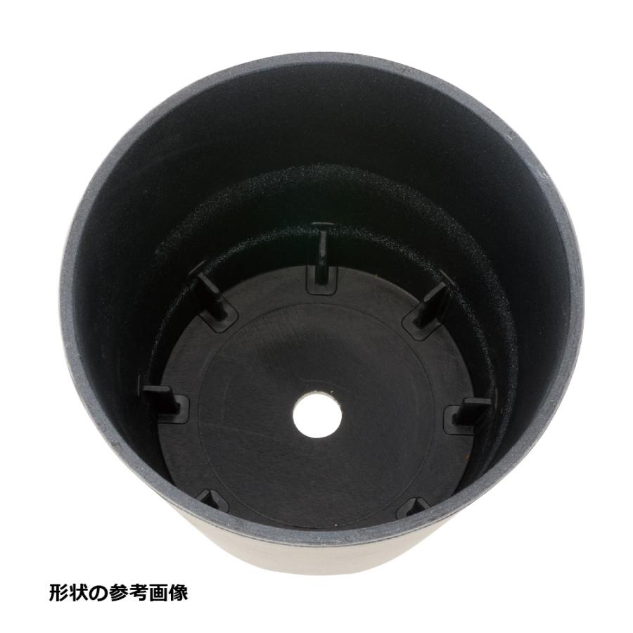 グレーニー ポット 5号 園芸 ガーデン ガーデニング 植木 鉢 おしゃれ 室内 観葉植物 プラスチック リッチェル  公式ショップ | リッチェル | 05