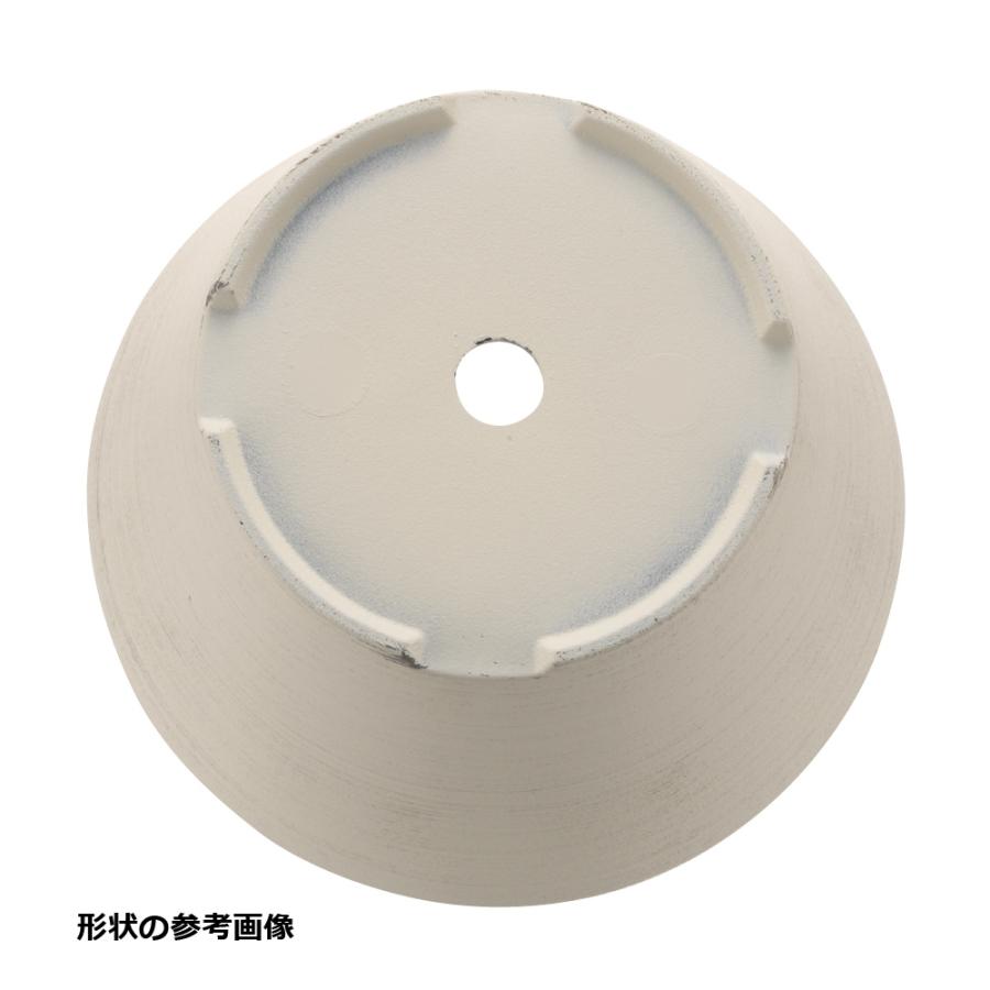 グレーニー ポット 5号 園芸 ガーデン ガーデニング 植木 鉢 おしゃれ 室内 観葉植物 プラスチック リッチェル  公式ショップ | リッチェル | 06