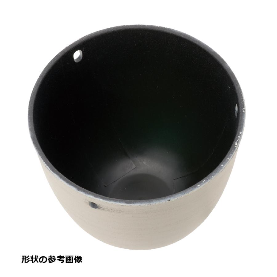 グレーニー ハングポット 16型 園芸 ガーデン ガーデニング 植木 鉢 おしゃれ 室内 観葉植物 プラスチック リッチェル  公式 | リッチェル | 05