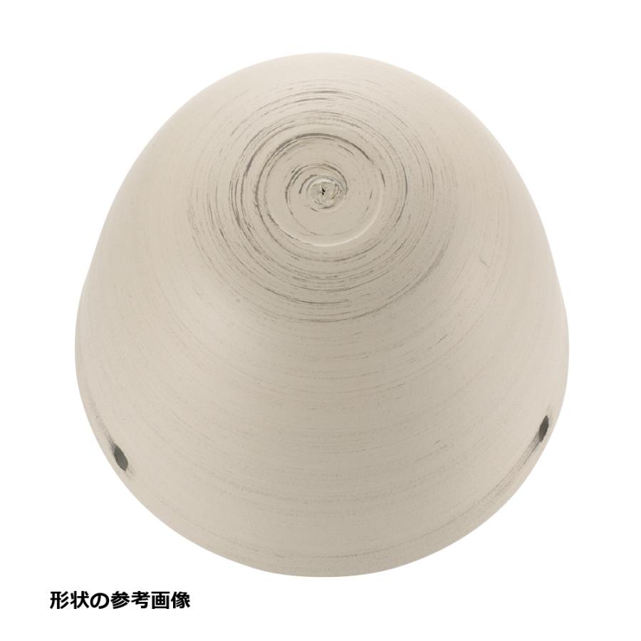 グレーニー ハングポット 16型 園芸 ガーデン ガーデニング 植木 鉢 おしゃれ 室内 観葉植物 プラスチック リッチェル  公式 | リッチェル | 06