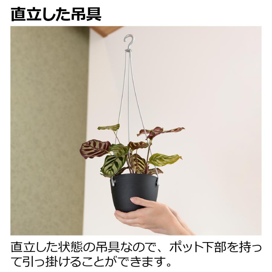 グレーニー ハングポット 16型 園芸 ガーデン ガーデニング 植木 鉢 おしゃれ 室内 観葉植物 プラスチック リッチェル  公式 | リッチェル | 09