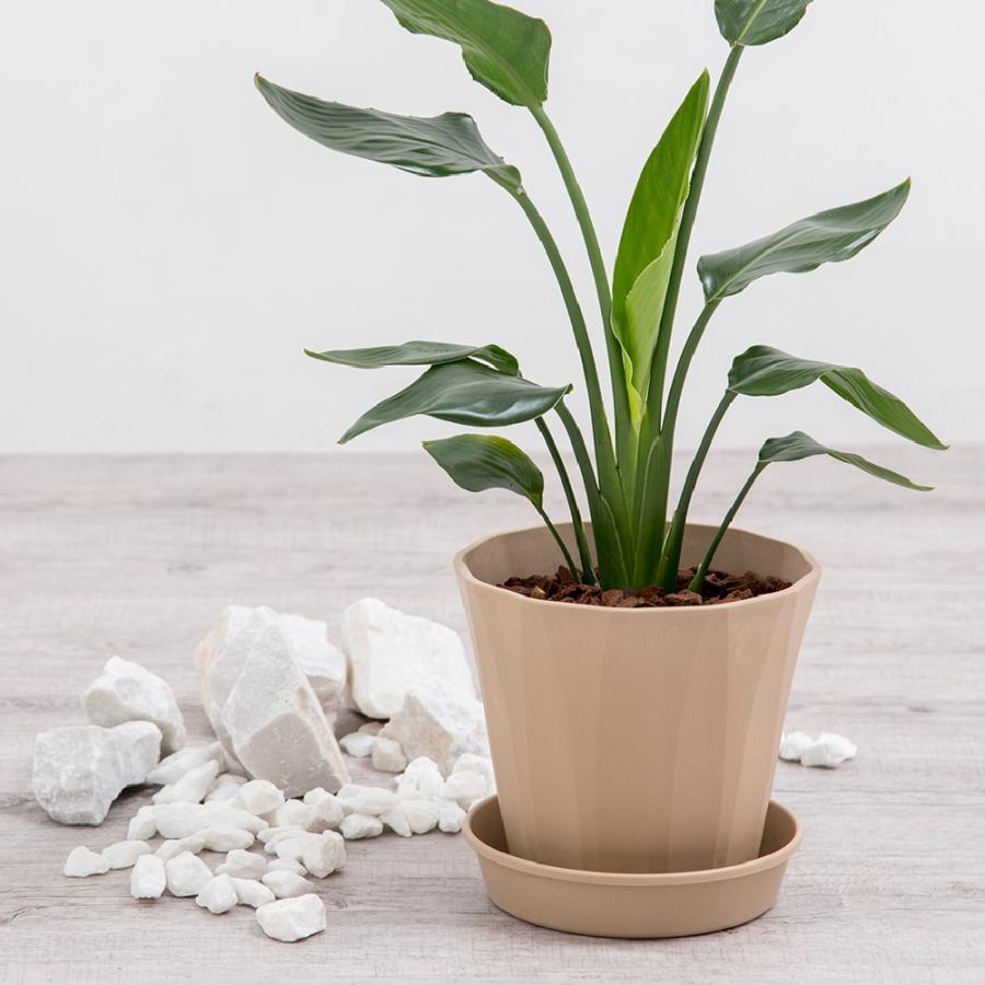 ラピス ポット 35型 園芸 ガーデン ガーデニング 植木 鉢 おしゃれ 室内 プラスチック 日本製 リッチェル Richell 公式ショップ | リッチェル | 07