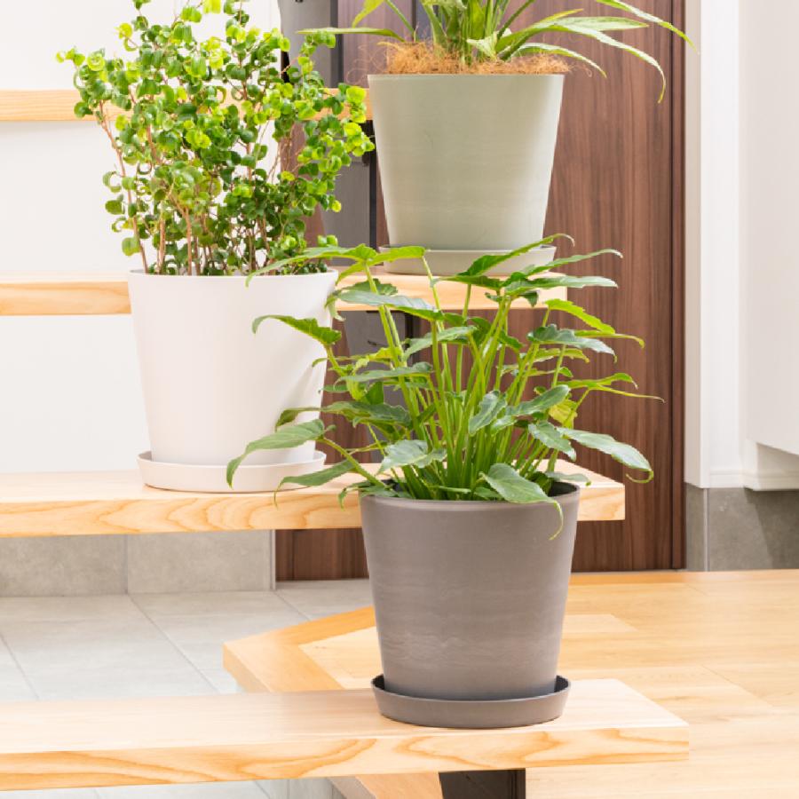 ドゥーロ ポット 22型 園芸 ガーデン ガーデニング 植木 鉢 ポット おしゃれ 室内 ボタニカル プラスチック リッチェル 公式 | リッチェル | 06