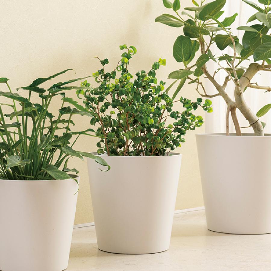 植木鉢 おしゃれ ドゥーロ ポット 26型 ガーデ ン ニング  園芸 プラスチック 室内 ボタニカル リッチェル | リッチェル | 06