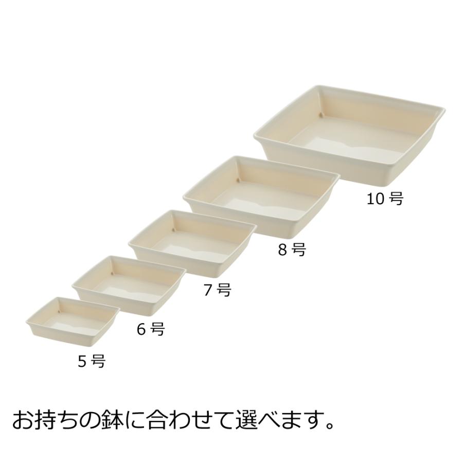 フォーレ スクエアプレート 5号 園芸 ガーデン 植木 鉢 受 け 鉢 角 皿 おしゃれ 室内 四角 プラスチック リッチェル  公式 | リッチェル | 04