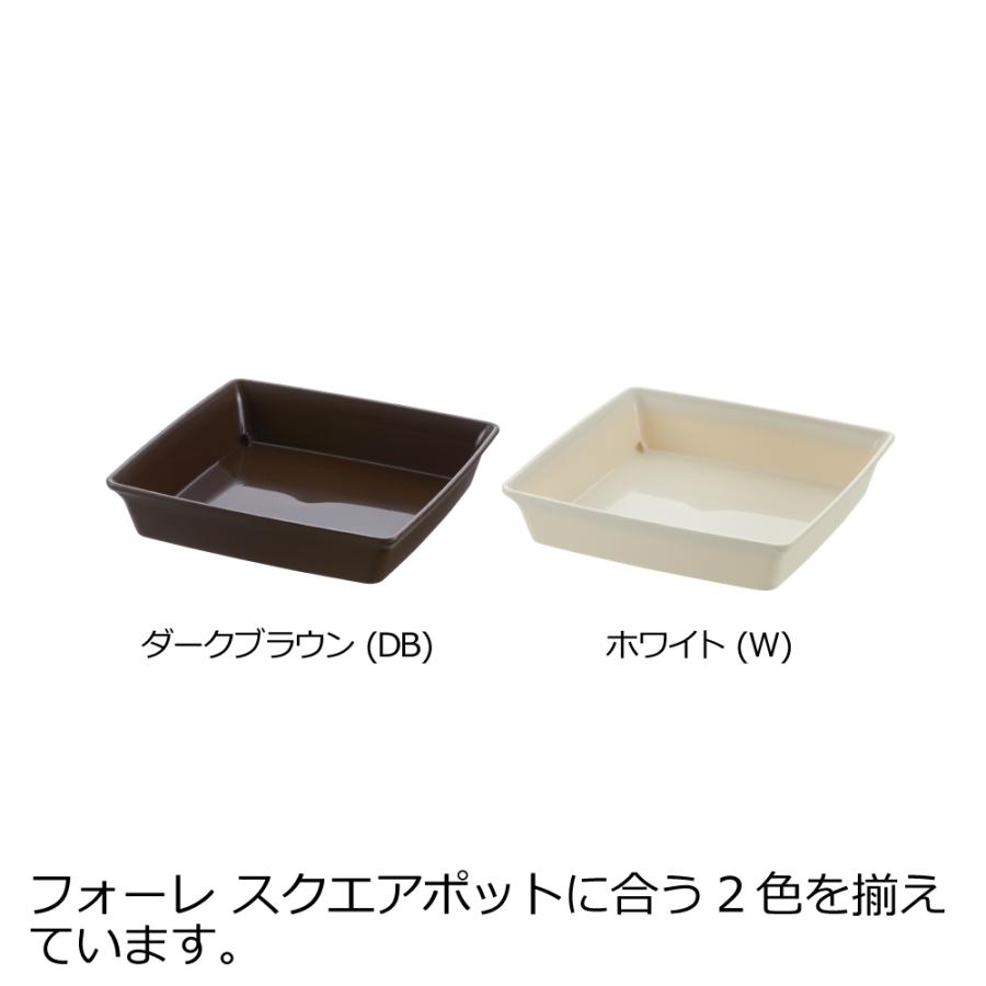 フォーレ スクエアプレート 10号 園芸 ガーデン 植木 鉢 受 け 皿 鉢 角 おしゃれ 室内 四角 プラスチック リッチェル  公式 | リッチェル | 05