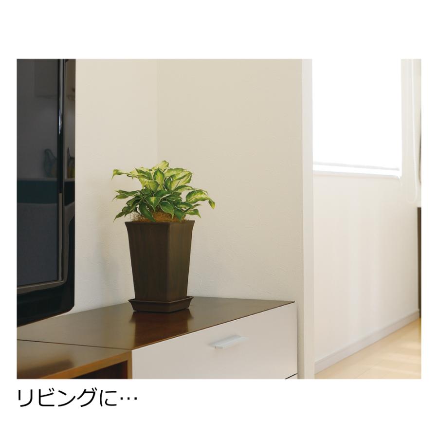 フォーレ スクエアポット 5号 園芸 ガーデン 植木鉢 角鉢 鉢 プランター おしゃれ 室内 四角 プラスチック リッチェル  公式 | リッチェル | 04