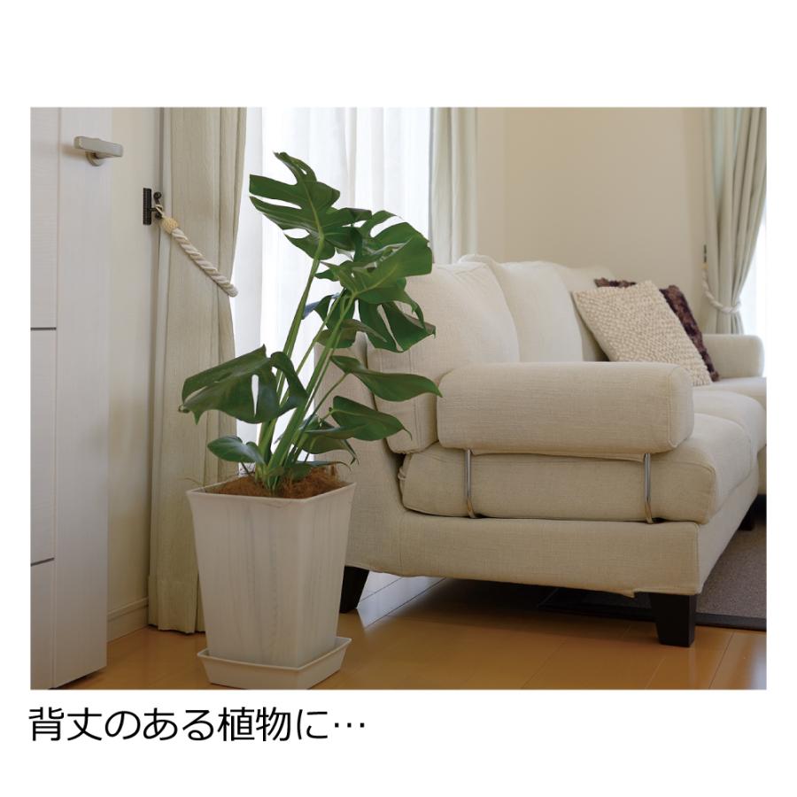 フォーレ スクエアポット 5号 園芸 ガーデン 植木鉢 角鉢 鉢 プランター おしゃれ 室内 四角 プラスチック リッチェル  公式 | リッチェル | 05