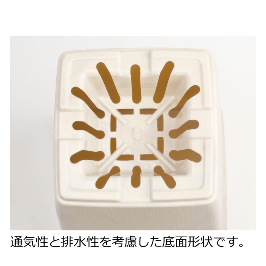 フォーレ スクエアポット 6号 園芸 ガーデン 植木鉢 角鉢 鉢 プランター おしゃれ 室内 四角 プラスチック リッチェル  公式 | リッチェル | 06