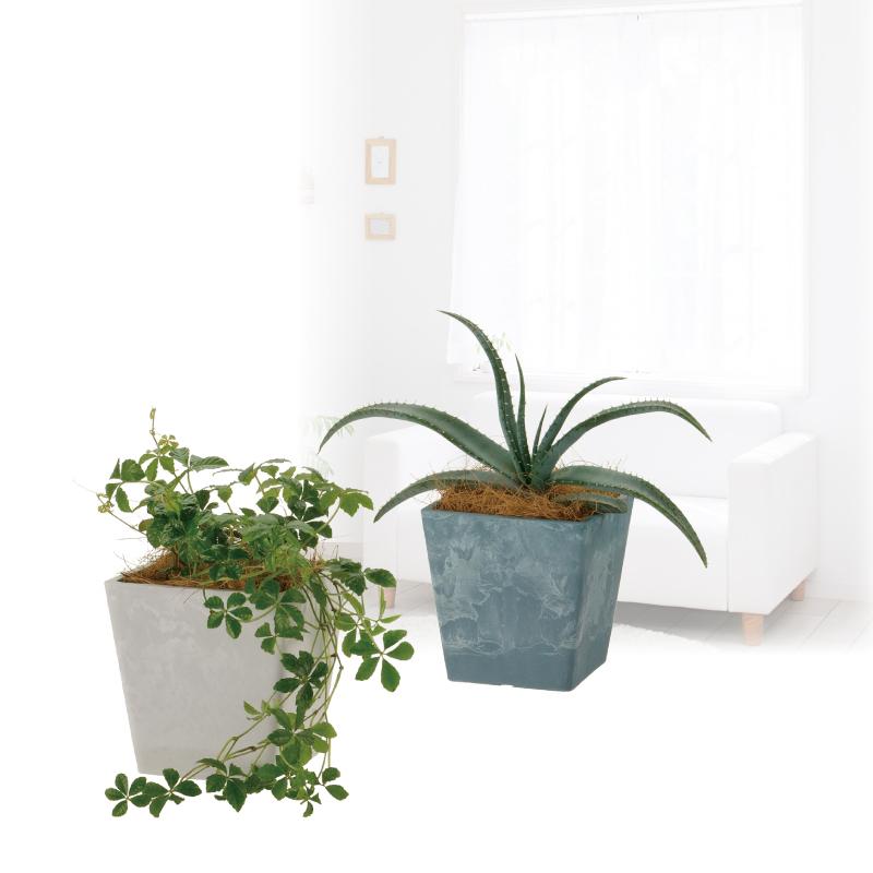 ボタニー スクエアポット 10型 園芸 ガーデン 植木鉢 角鉢 鉢 プランター  四角 プラスチック リッチェル Richell 公式ショップ | リッチェル | 07