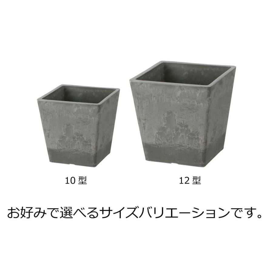 鉢 おしゃれ ボタニー スクエアポット 12型 リッチェル 四角 室内 プランター プラスチック ガーデン 植え | リッチェル | 08