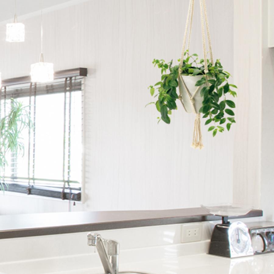 ボタニー ハンギングポット 15型 園芸 ガーデン 植木鉢 吊り鉢 鉢 プランター プラスチック リッチェル Richell 公式ショップ | リッチェル | 04