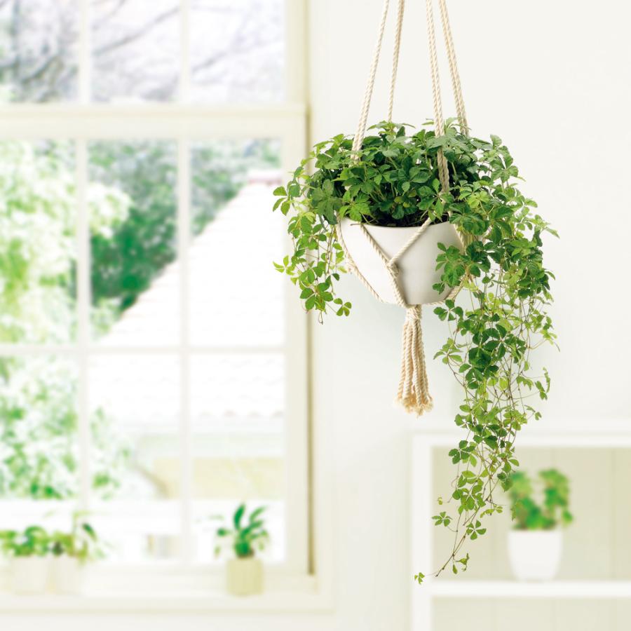 ボタニー ハンギングボール 20型 園芸 ガーデン 植木 鉢 吊り プランター おしゃれ プラスチック リッチェル Richell 公式ショップ | リッチェル | 03