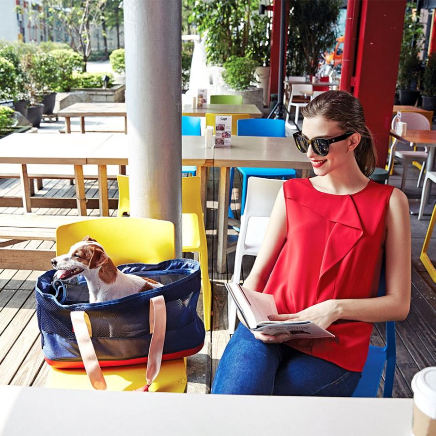 メッシュトートキャリー 超 小型 犬 猫 防災グッズ ペット キャリー バッグ ケース リッチェル Richell 公式 | リッチェル | 11