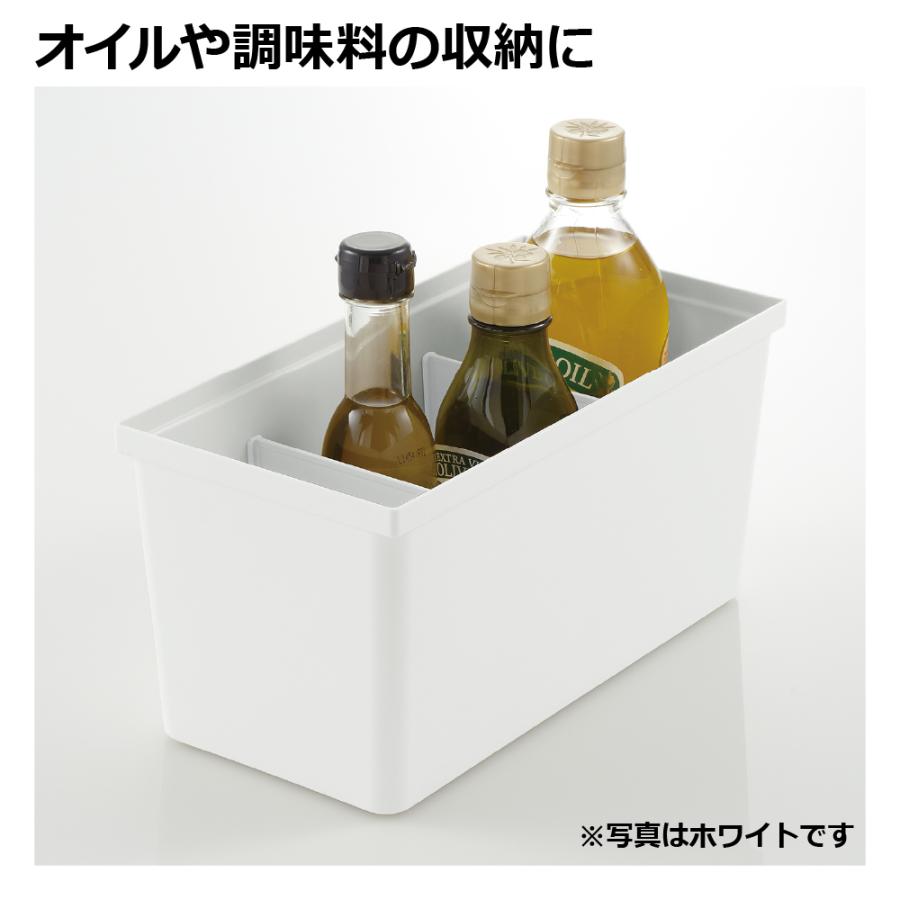 リッチェル（Richell） トトノ 引き出し用 調味料収納ボックスR 調味料