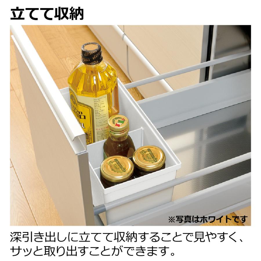 トトノ 引き出し用 調味料収納ボックスR 調味料 入れ 収納 ラック 当店限定カラー キッチン 引き出し シンク下 収納 プラスチック 日本製 国産 リッチェル 公式 | リッチェル | 02